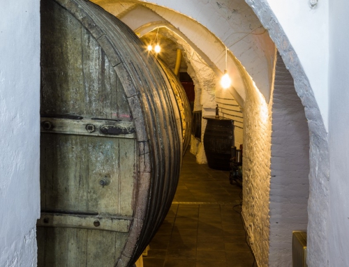 Bodegas Zazurca