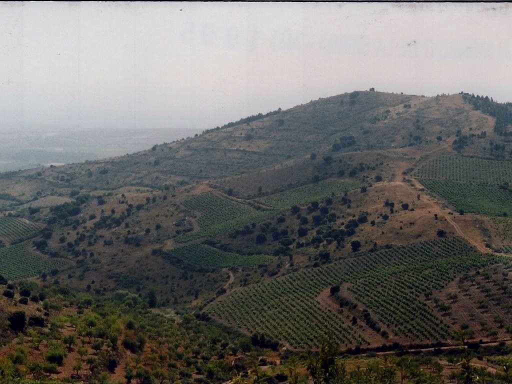 Bodegas Libre y Salvaje