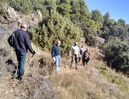 La asociación «El Prau» realiza diversas mejoras en la ruta botánica